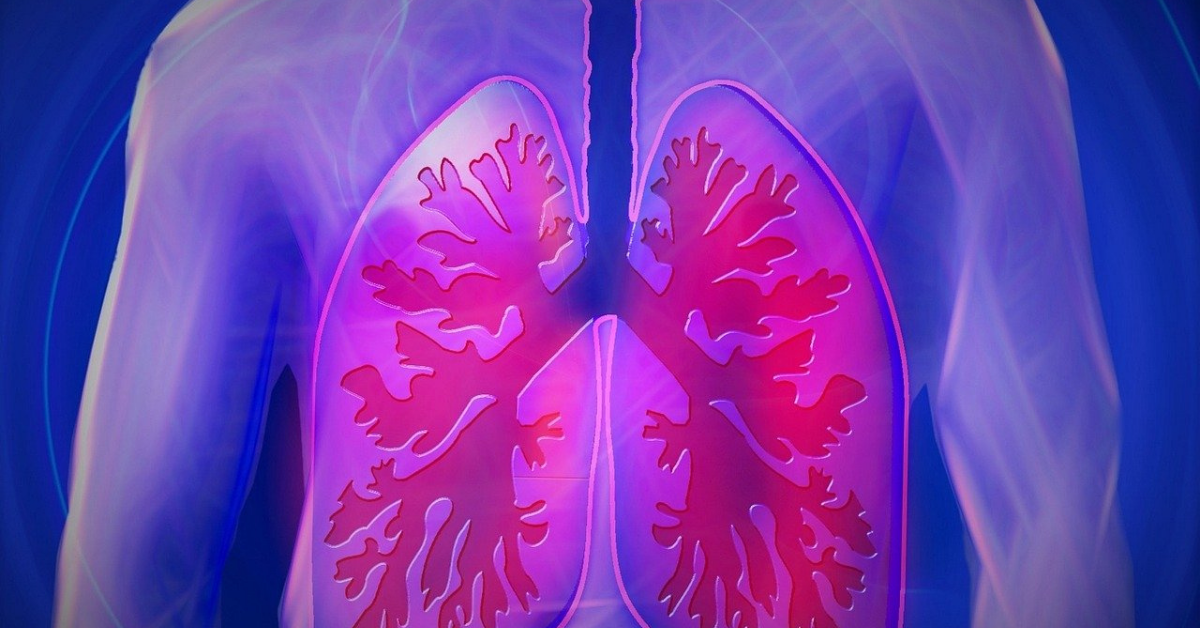 Read more about the article Asthma – The Respiratory illness